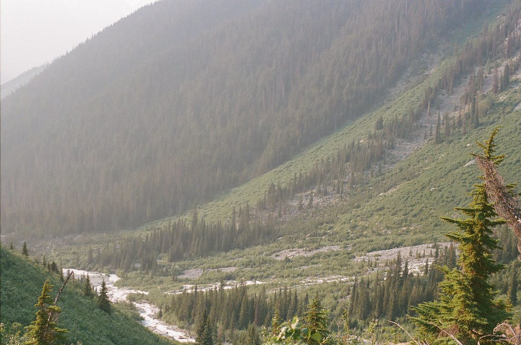 Misty mountain valley with creek