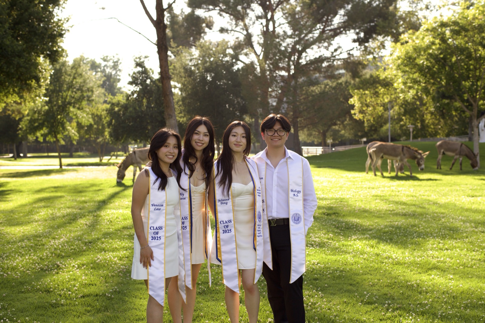 Group sitting at overlook in blue gowns