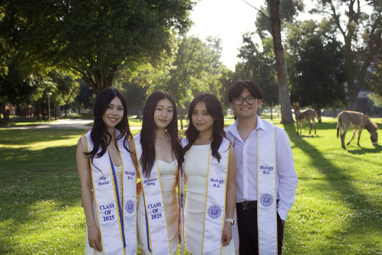 Graduate full body in archway